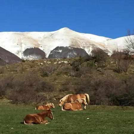 Castelvecchio Family Retreat *