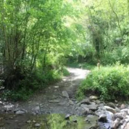 Castelvecchio Family Retreat * San Marcello Pistoiese