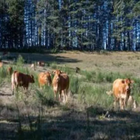 Castelvecchio Family Retreat Tatil Evi *